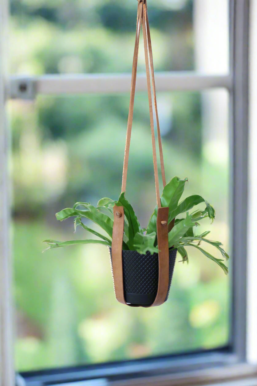 Large Flourish Leather Plant Hanger