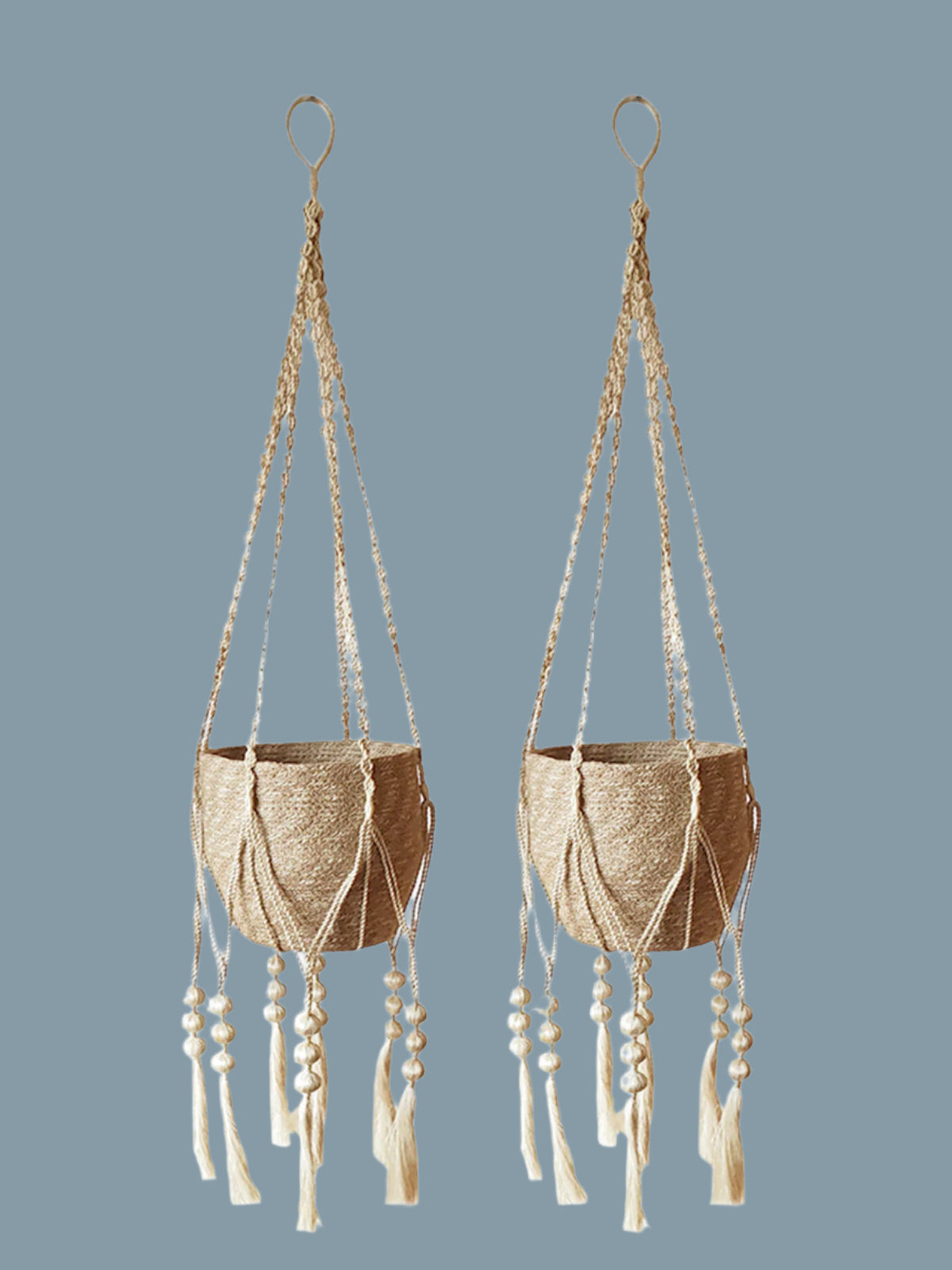 Plant Hanger - Fiora
