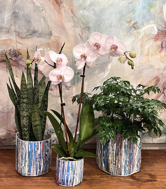 Blue Round Planter