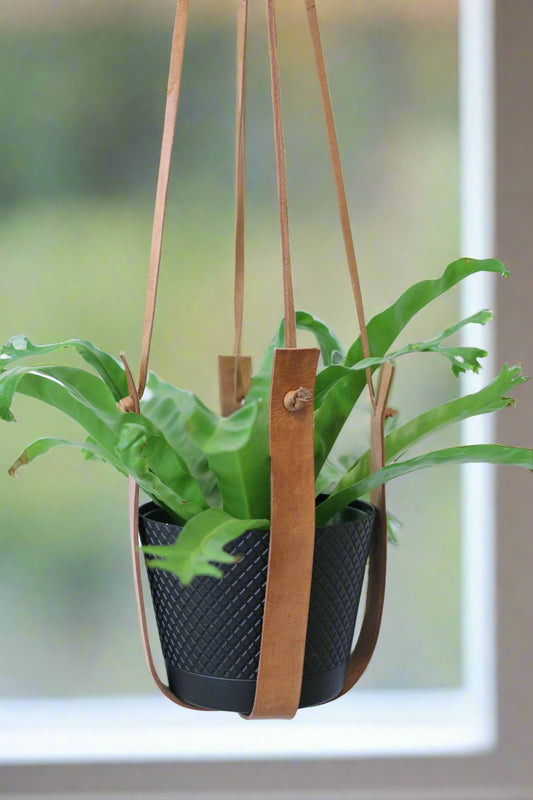 Large Flourish Leather Plant Hanger