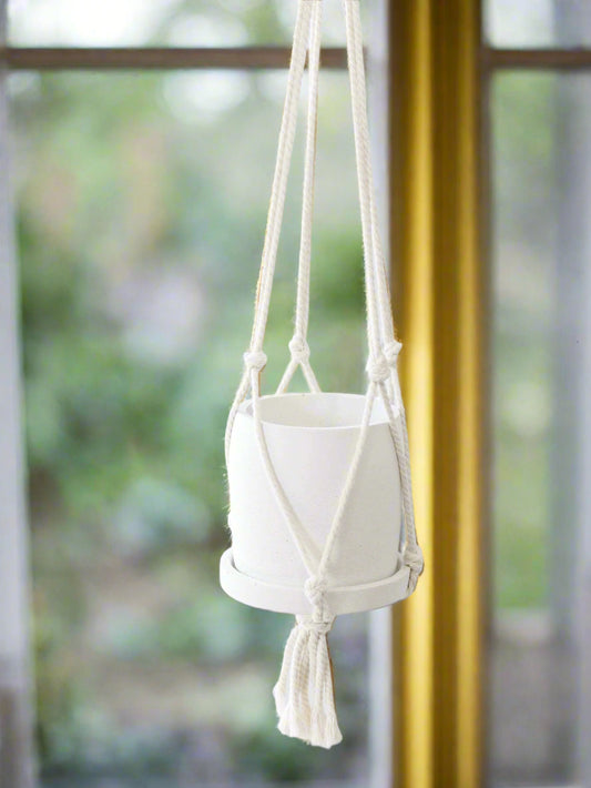 Large Macrame Plant Hanger